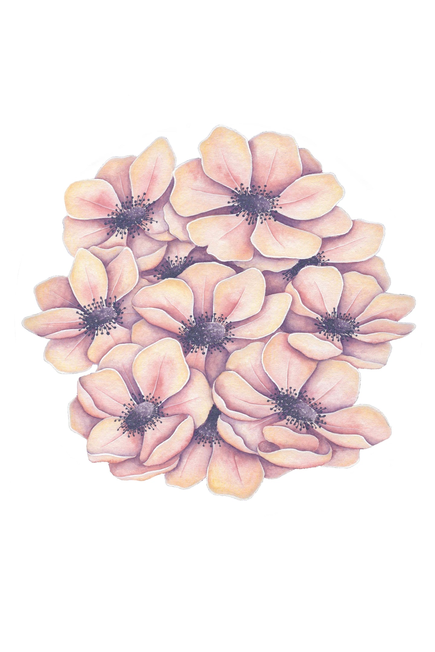 Anemones Art Print